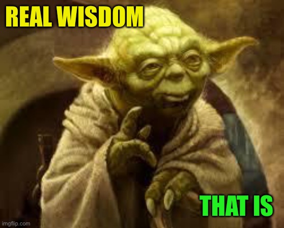 yoda | REAL WISDOM THAT IS | image tagged in yoda | made w/ Imgflip meme maker
