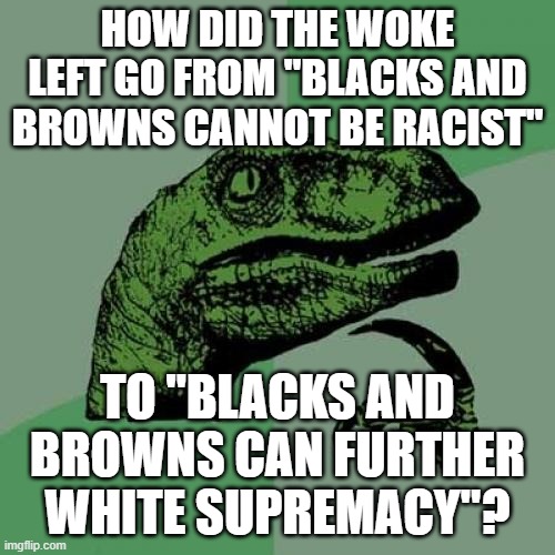 Like... am I missing something? | HOW DID THE WOKE LEFT GO FROM "BLACKS AND BROWNS CANNOT BE RACIST"; TO "BLACKS AND BROWNS CAN FURTHER WHITE SUPREMACY"? | image tagged in memes,philosoraptor | made w/ Imgflip meme maker