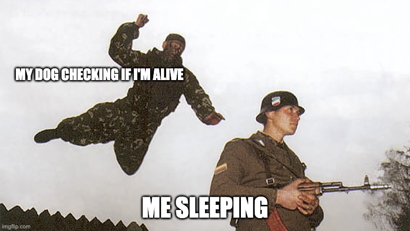 Soldier jump spetznaz | MY DOG CHECKING IF I'M ALIVE; ME SLEEPING | image tagged in soldier jump spetznaz | made w/ Imgflip meme maker