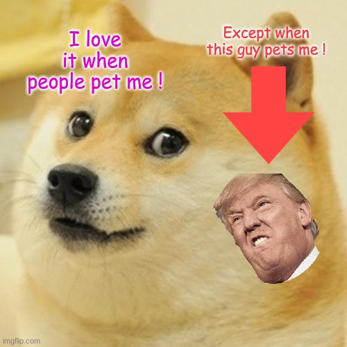 Doge Meme | I love it when people pet me ! Except when this guy pets me ! | image tagged in memes,doge | made w/ Imgflip meme maker