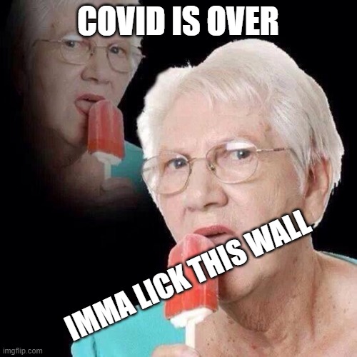 COVID IS OVER IMMA LICK THIS WALL | image tagged in old lady licking popsicle | made w/ Imgflip meme maker
