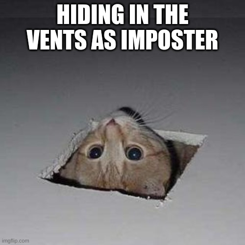 Ceiling Cat | HIDING IN THE VENTS AS IMPOSTER | image tagged in memes,ceiling cat | made w/ Imgflip meme maker