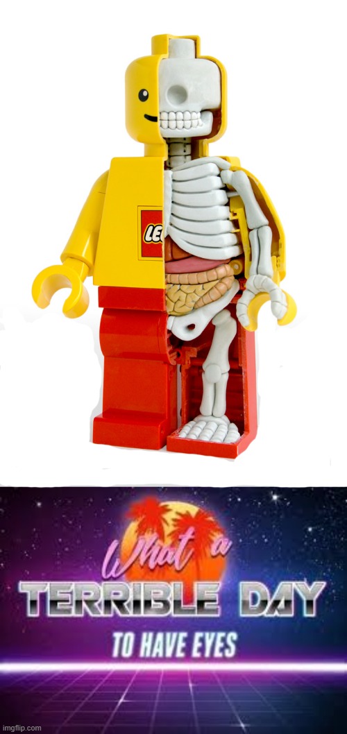 you saw the title made you look | image tagged in what a terrible day to have eyes,lego,anatomy,all,meme,origianal | made w/ Imgflip meme maker