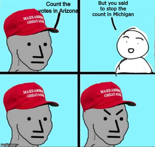 Summation of last 4 years | But you said to stop the count in Michigan; Count the votes in Arizona | image tagged in maga npc an an0nym0us template | made w/ Imgflip meme maker