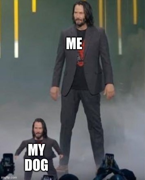 Mini Keanu Reeves | ME MY DOG | image tagged in mini keanu reeves | made w/ Imgflip meme maker