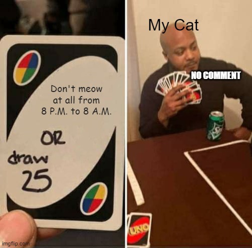 Uno Fail | My Cat; NO COMMENT; Don't meow at all from 8 P.M. to 8 A.M. | image tagged in memes,uno draw 25 cards | made w/ Imgflip meme maker