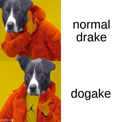 Drake Hotline Bling Meme | normal drake dogake | image tagged in memes,drake hotline bling | made w/ Imgflip meme maker