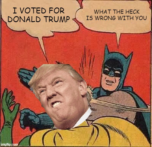 Batman Slapping Robin | I VOTED FOR DONALD TRUMP; WHAT THE HECK IS WRONG WITH YOU | image tagged in memes,batman slapping robin | made w/ Imgflip meme maker