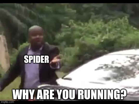 Why are you running? | SPIDER WHY ARE YOU RUNNING? | image tagged in why are you running | made w/ Imgflip meme maker