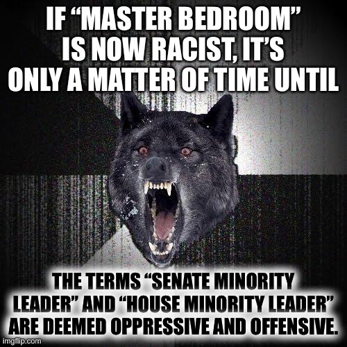 Is “Minority Leader” racist? |  IF “MASTER BEDROOM” IS NOW RACIST, IT’S ONLY A MATTER OF TIME UNTIL; THE TERMS “SENATE MINORITY LEADER” AND “HOUSE MINORITY LEADER” ARE DEEMED OPPRESSIVE AND OFFENSIVE. | image tagged in memes,insanity wolf,political,words that offend liberals,racist,master | made w/ Imgflip meme maker