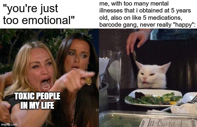 ._. | me, with too many mental illnesses that i obtained at 5 years old, also on like 5 medications, barcode gang, never really "happy":; "you're just too emotional"; TOXIC PEOPLE IN MY LIFE | image tagged in memes,woman yelling at cat | made w/ Imgflip meme maker