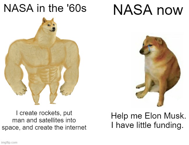 Buff Doge vs. Cheems | NASA in the '60s; NASA now; I create rockets, put man and satellites into space, and create the internet; Help me Elon Musk. I have little funding. | image tagged in memes,buff doge vs cheems | made w/ Imgflip meme maker