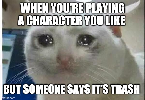 This is why I don't follow the tier list. | WHEN YOU'RE PLAYING A CHARACTER YOU LIKE; BUT SOMEONE SAYS IT'S TRASH | image tagged in crying cat | made w/ Imgflip meme maker