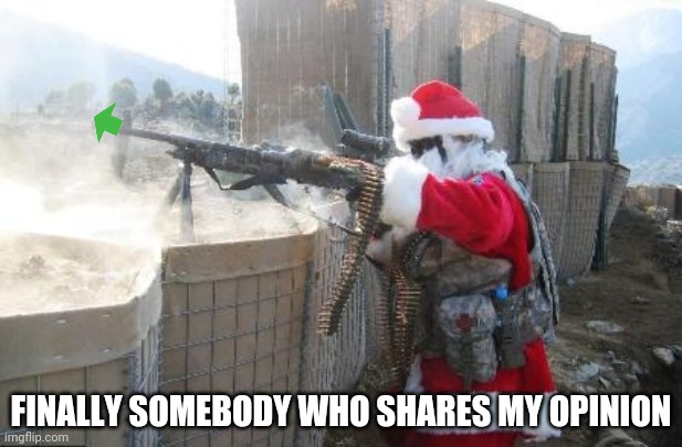 Hohoho Meme | FINALLY SOMEBODY WHO SHARES MY OPINION | image tagged in memes,hohoho | made w/ Imgflip meme maker