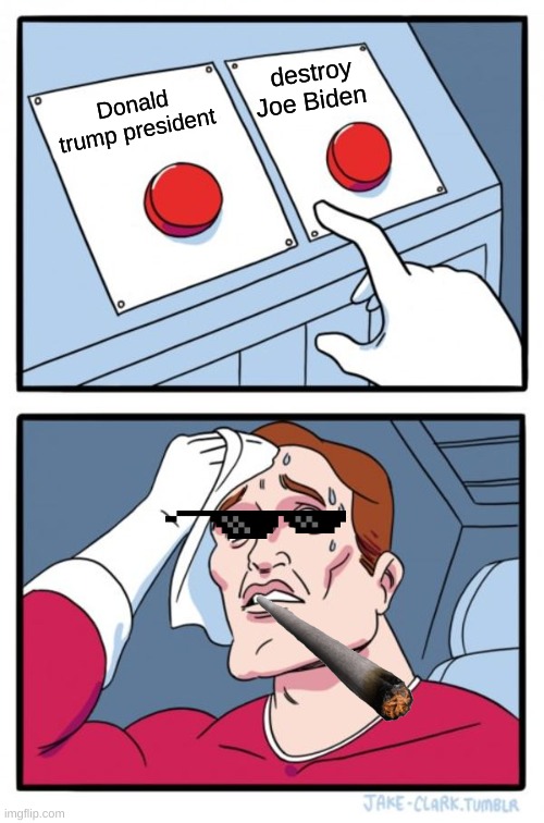 Two Buttons Meme | destroy Joe Biden; Donald trump president | image tagged in memes,two buttons | made w/ Imgflip meme maker