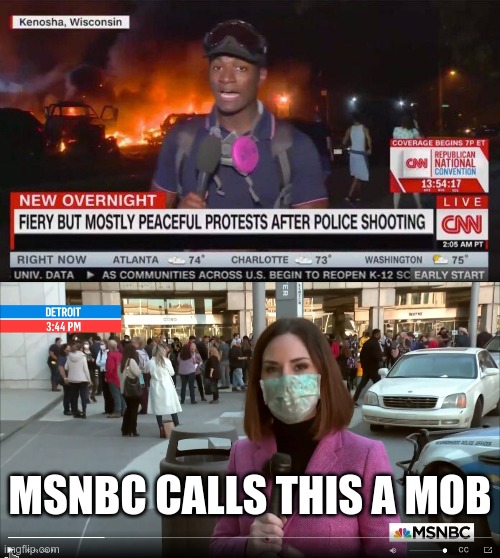 Did I learn a different version of the English language? | MSNBC CALLS THIS A MOB | image tagged in fake news,msnbc | made w/ Imgflip meme maker