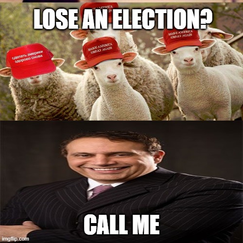 Lose an Election | LOSE AN ELECTION? CALL ME | image tagged in election,sheep,alexander shunnara,callmealabama,trump,butthurt | made w/ Imgflip meme maker