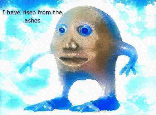 I Have Risen From The Ashes Blank Meme Template