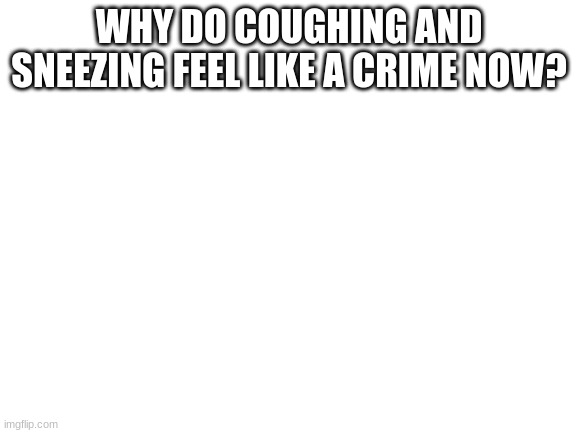 Wh | WHY DO COUGHING AND SNEEZING FEEL LIKE A CRIME NOW? | image tagged in blank white template | made w/ Imgflip meme maker
