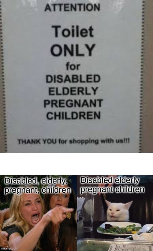 Disabled elderly pregnant children; Disabled, elderly, pregnant, children | image tagged in memes,woman yelling at cat | made w/ Imgflip meme maker