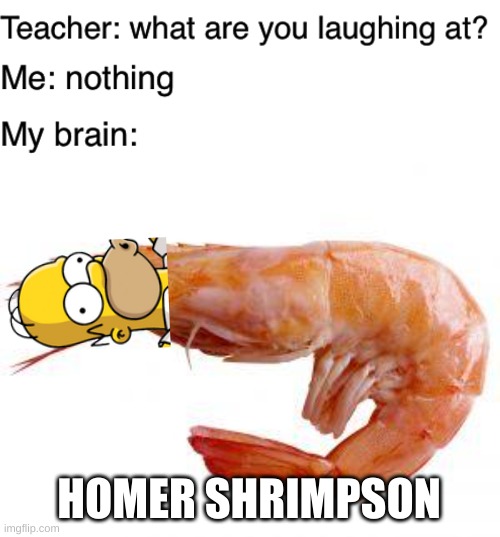 HOMER SHRIMPSON | image tagged in teacher what are you laughing at,shrimply | made w/ Imgflip meme maker
