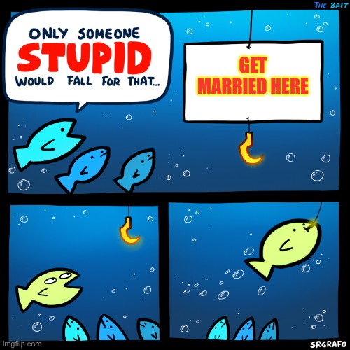 Only Someone Stupid SrGrafo | GET MARRIED HERE | image tagged in only someone stupid srgrafo | made w/ Imgflip meme maker