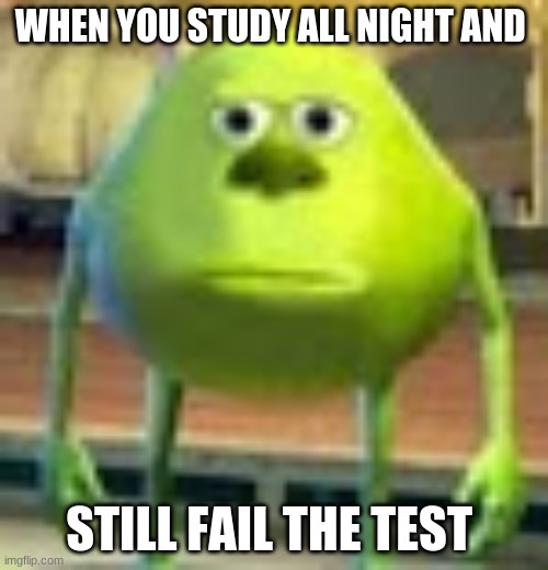 Sully Wazowski | WHEN YOU STUDY ALL NIGHT AND; STILL FAIL THE TEST | image tagged in sully wazowski | made w/ Imgflip meme maker