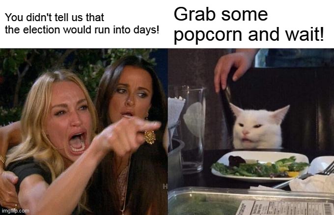 Counting | You didn't tell us that the election would run into days! Grab some popcorn and wait! | image tagged in memes,woman yelling at cat | made w/ Imgflip meme maker