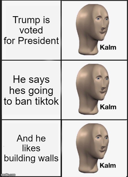 Kalm | Trump is voted for President; He says hes going to ban tiktok; And he likes building walls | image tagged in memes | made w/ Imgflip meme maker