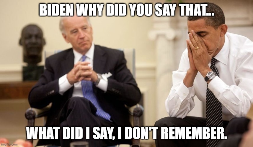The one who apparently a lot of people like | BIDEN WHY DID YOU SAY THAT... WHAT DID I SAY, I DON'T REMEMBER. | image tagged in biden,memory,gaffes,obama | made w/ Imgflip meme maker