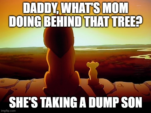Lion King | DADDY, WHAT'S MOM DOING BEHIND THAT TREE? SHE'S TAKING A DUMP SON | image tagged in memes,lion king | made w/ Imgflip meme maker