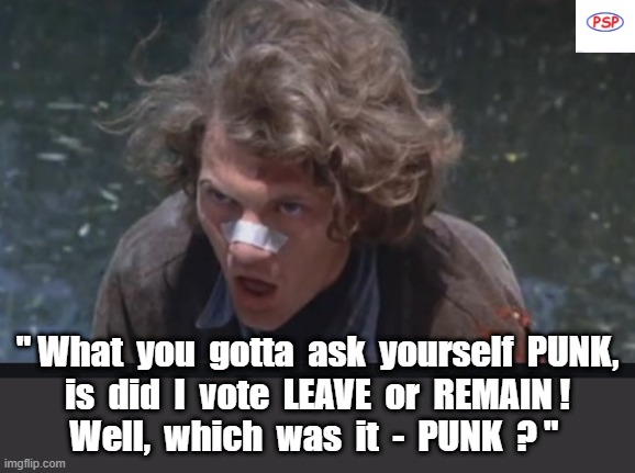 What you gotta ask yourself punk. | " What  you  gotta  ask  yourself  PUNK,
is  did  I  vote  LEAVE  or  REMAIN !
Well,  which  was  it  -  PUNK  ? " | image tagged in vote leave | made w/ Imgflip meme maker