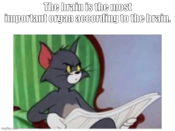 Self protect | The brain is the most important organ according to the brain. | image tagged in blank | made w/ Imgflip meme maker