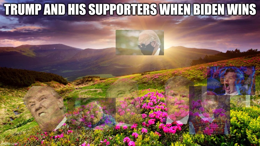 Field of Flowers | TRUMP AND HIS SUPPORTERS WHEN BIDEN WINS | image tagged in field of flowers | made w/ Imgflip meme maker