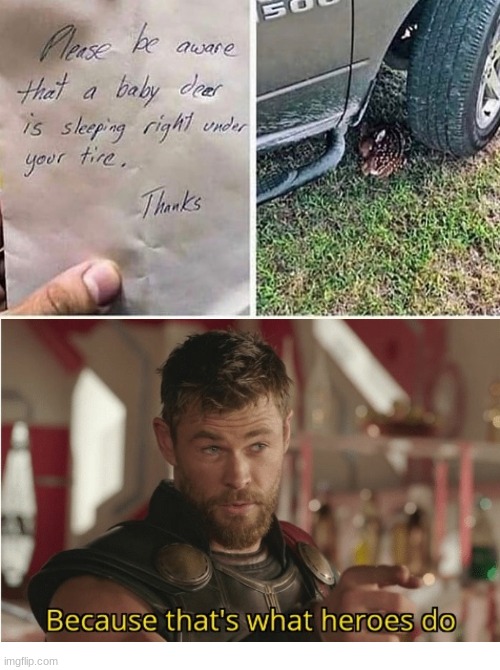 Thor deer | image tagged in that s what heroes do,blank white template,funny,memes | made w/ Imgflip meme maker