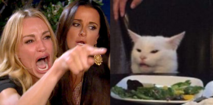 woman yelling at cat cropped Blank Meme Template