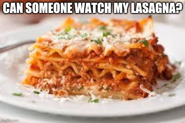 lasagna | CAN SOMEONE WATCH MY LASAGNA? | image tagged in lasagna | made w/ Imgflip meme maker