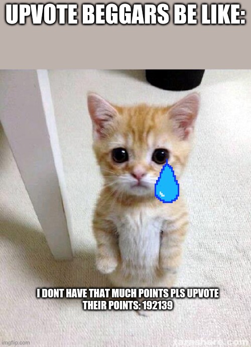 Upvote beggars be like | UPVOTE BEGGARS BE LIKE:; I DONT HAVE THAT MUCH POINTS PLS UPVOTE
THEIR POINTS: 192139 | image tagged in memes,cute cat | made w/ Imgflip meme maker