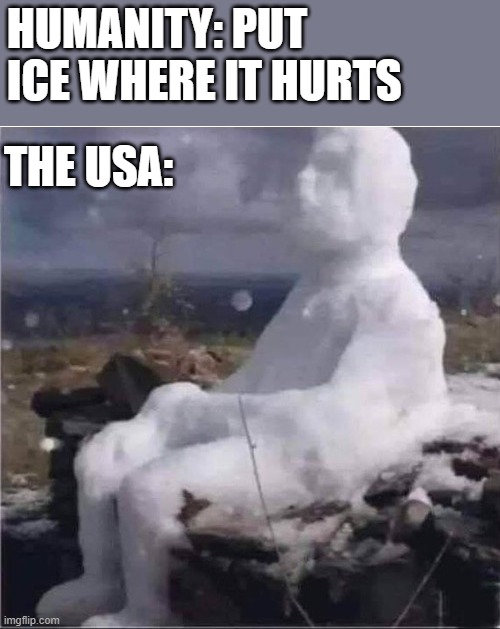 USA | HUMANITY: PUT ICE WHERE IT HURTS; THE USA: | image tagged in election 2020 | made w/ Imgflip meme maker