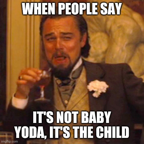 Baby Yoda | WHEN PEOPLE SAY; IT'S NOT BABY YODA, IT'S THE CHILD | image tagged in memes,laughing leo | made w/ Imgflip meme maker
