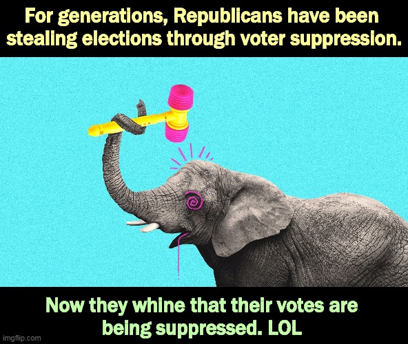 Every vote lawfully cast should be lawfully counted. | For generations, Republicans have been 
stealing elections through voter suppression. Now they whine that their votes are 
being suppressed. LOL | image tagged in gop republican elephant hits head with hammer,gop,republicans,voter fraud | made w/ Imgflip meme maker