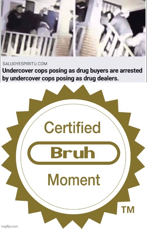 Certified Bruh Moment | image tagged in lol | made w/ Imgflip meme maker