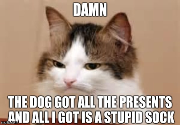 Bruh i hate dat dog so much | image tagged in grumpy cat | made w/ Imgflip meme maker