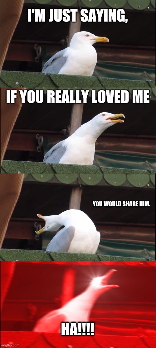 Inhaling Seagull | I'M JUST SAYING, IF YOU REALLY LOVED ME; YOU WOULD SHARE HIM. HA!!!! | image tagged in memes,inhaling seagull | made w/ Imgflip meme maker