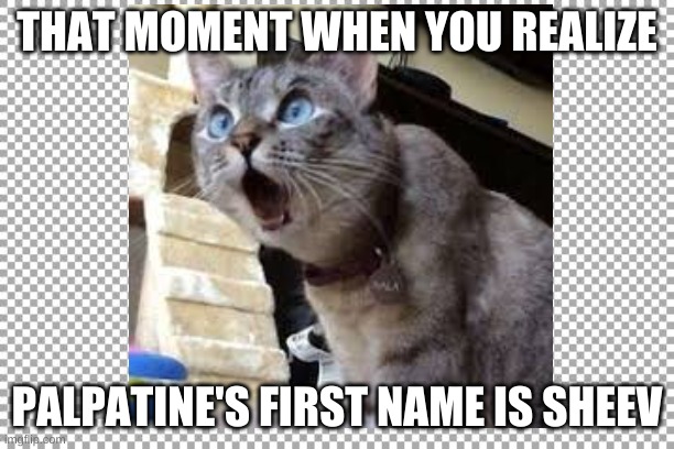 Palps palpatine | THAT MOMENT WHEN YOU REALIZE; PALPATINE'S FIRST NAME IS SHEEV | image tagged in lolcats | made w/ Imgflip meme maker