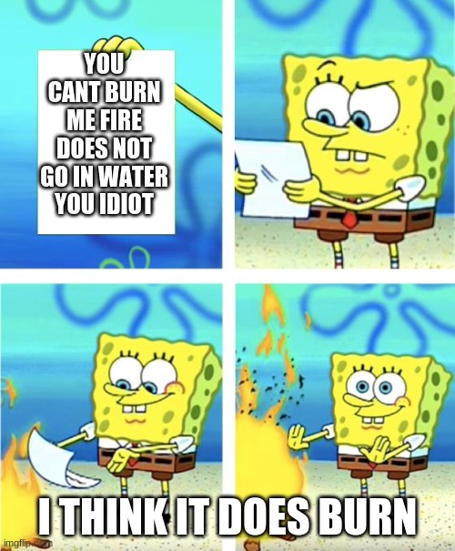 Spongebob Burning Paper | YOU CANT BURN ME FIRE DOES NOT GO IN WATER YOU IDIOT; I THINK IT DOES BURN | image tagged in spongebob burning paper | made w/ Imgflip meme maker