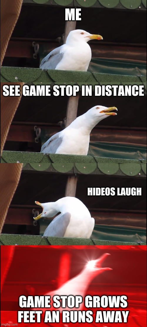 Inhaling Seagull | ME; SEE GAME STOP IN DISTANCE; HIDEOS LAUGH; GAME STOP GROWS FEET AN RUNS AWAY | image tagged in memes,inhaling seagull | made w/ Imgflip meme maker