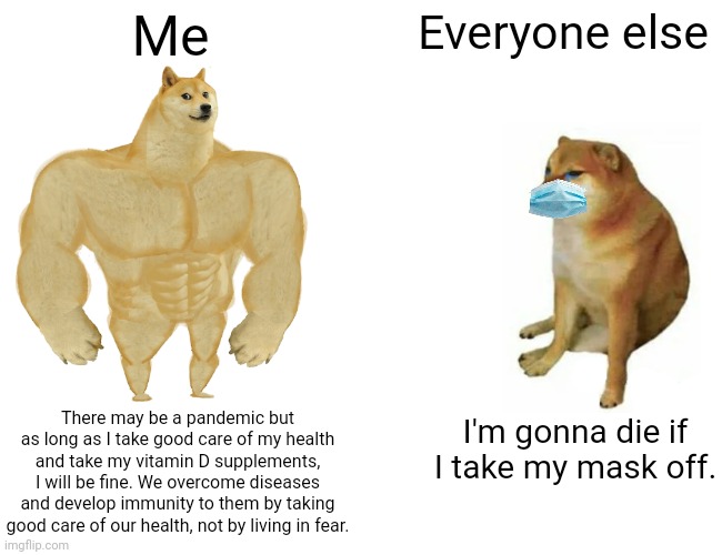 Me vs everyone else during the pandemic | Me; Everyone else; There may be a pandemic but as long as I take good care of my health and take my vitamin D supplements, I will be fine. We overcome diseases and develop immunity to them by taking good care of our health, not by living in fear. I'm gonna die if I take my mask off. | image tagged in memes,buff doge vs cheems,covid-19,masks,health,hysteria | made w/ Imgflip meme maker