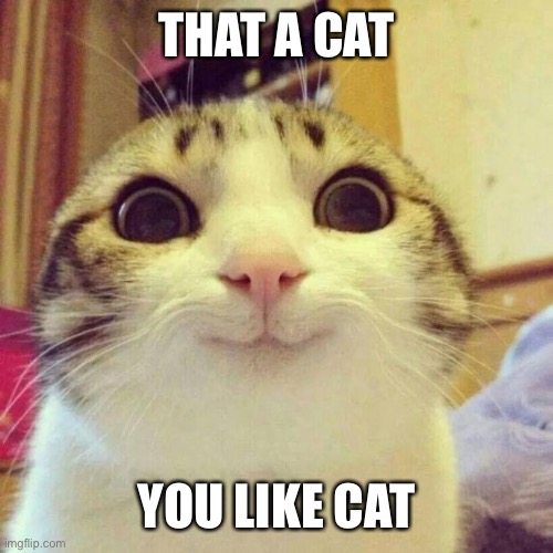 That cat | THAT A CAT; YOU LIKE CAT | image tagged in memes,smiling cat,that cat,idk anymore | made w/ Imgflip meme maker