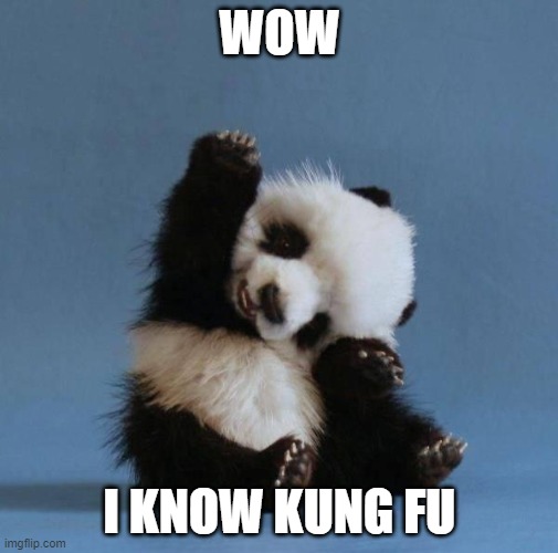 Panda | WOW; I KNOW KUNG FU | image tagged in panda | made w/ Imgflip meme maker